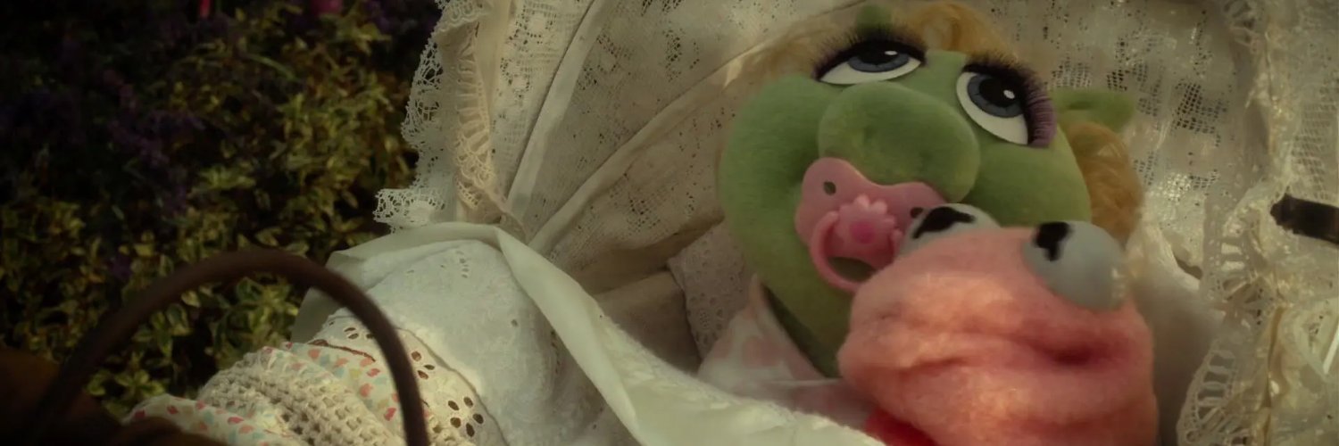 This is what a cornfield looks like, honey! banner