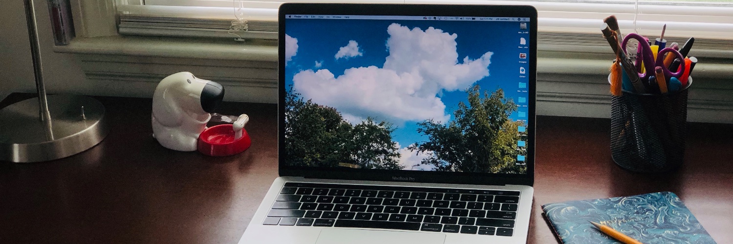 LJillLambert's profile banner image