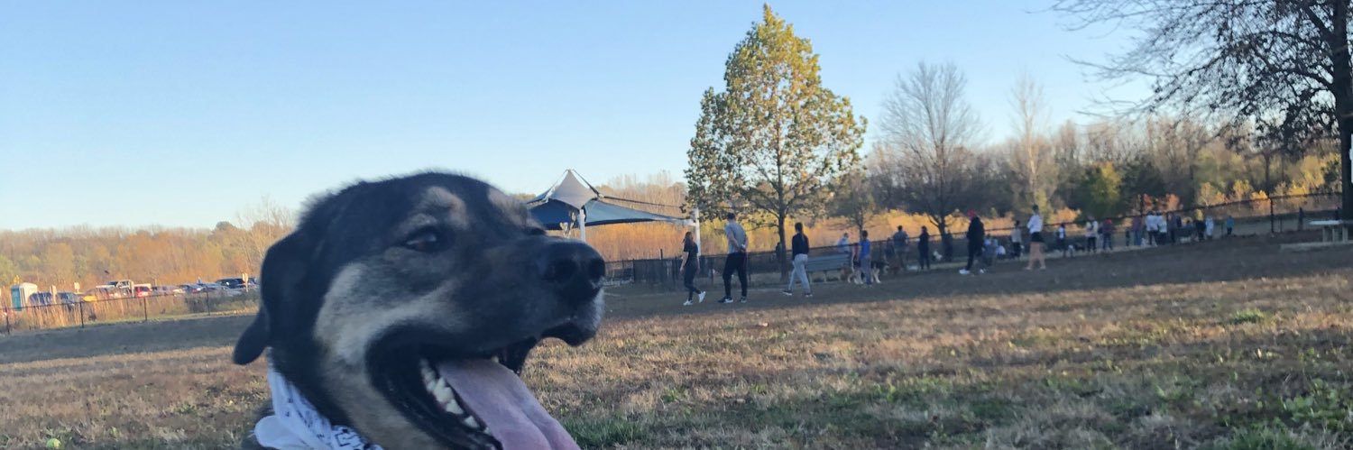 BooRadley1219's profile banner image