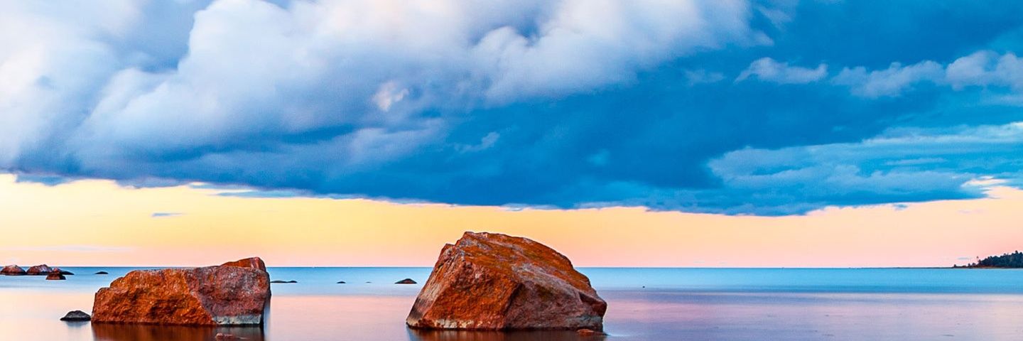 ali_parrot's profile banner image