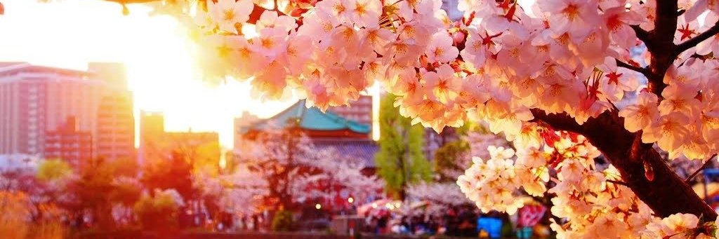 Emy_Vampire's profile banner image
