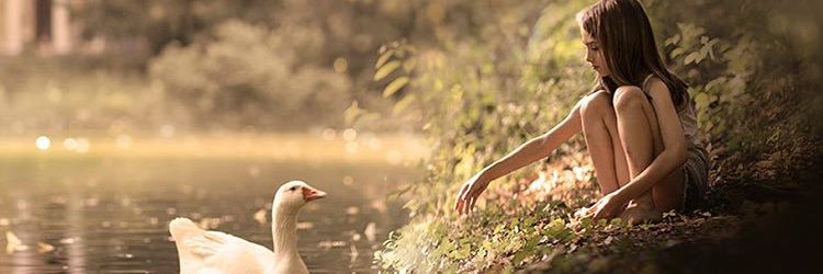 soso_IB's profile banner image