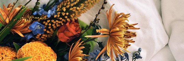 herthoughtss's profile banner image
