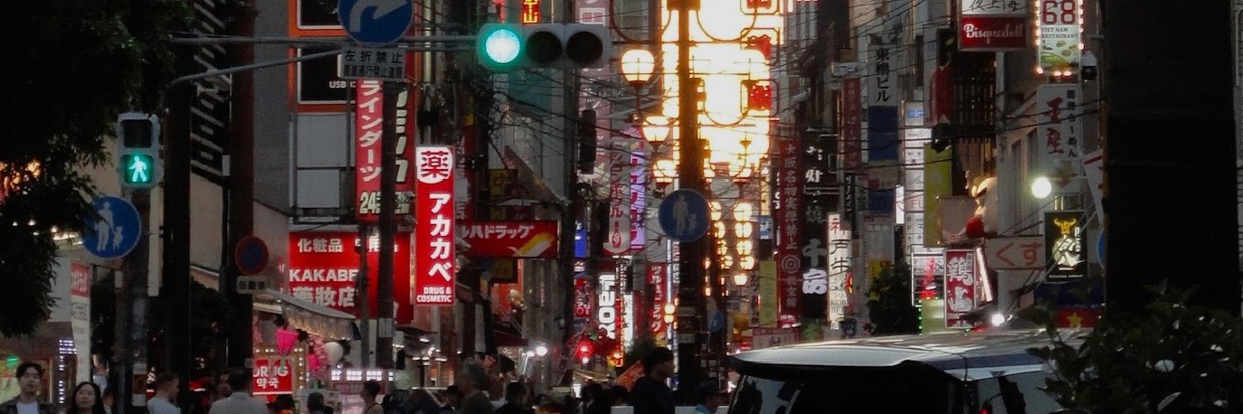 tsunaemii's profile banner image