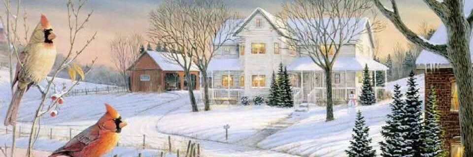 lisa_winter06's profile banner image