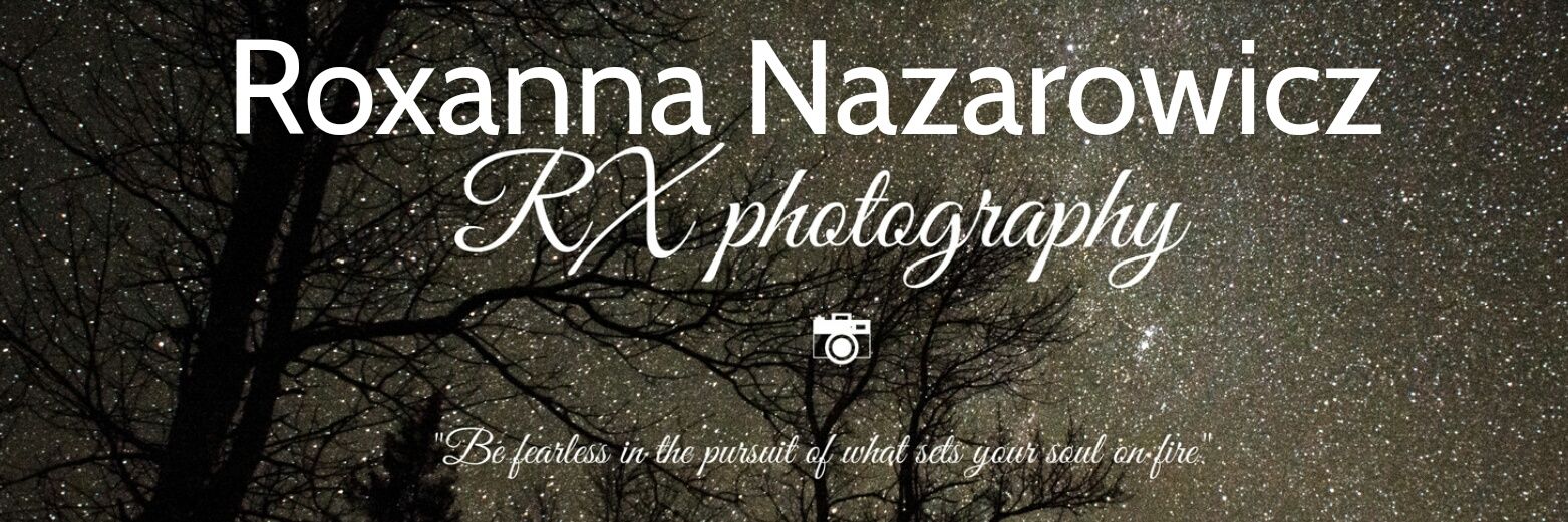 rox_nazarowicz's profile banner image