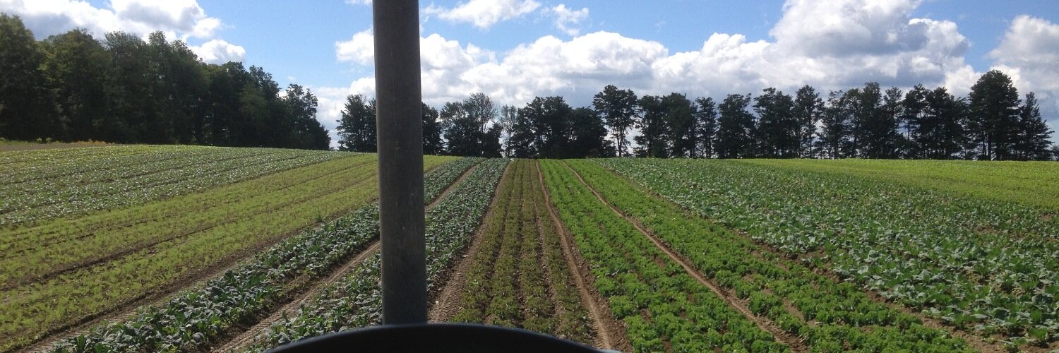 Andrew Johnson banner