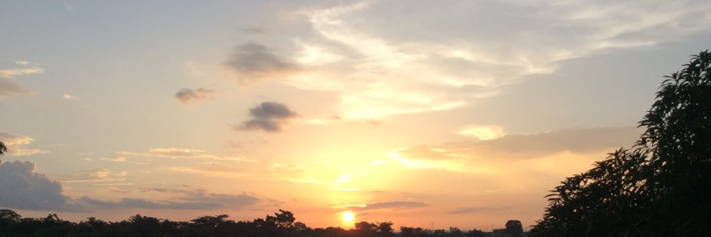ogatoby's profile banner image