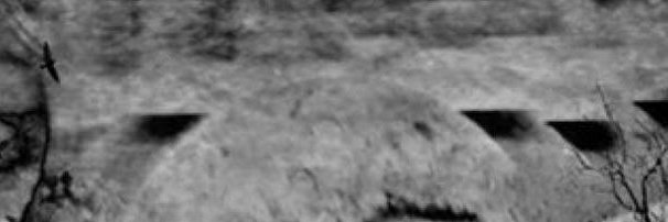 nindanbeeka's profile banner image
