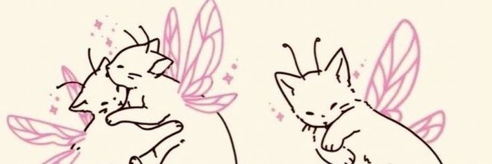 shineebbs's profile banner image