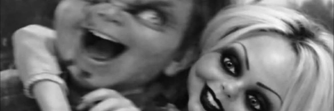 shaepace_'s profile banner image