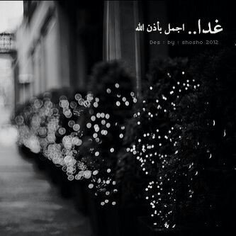 Bayan_M_'s profile banner image