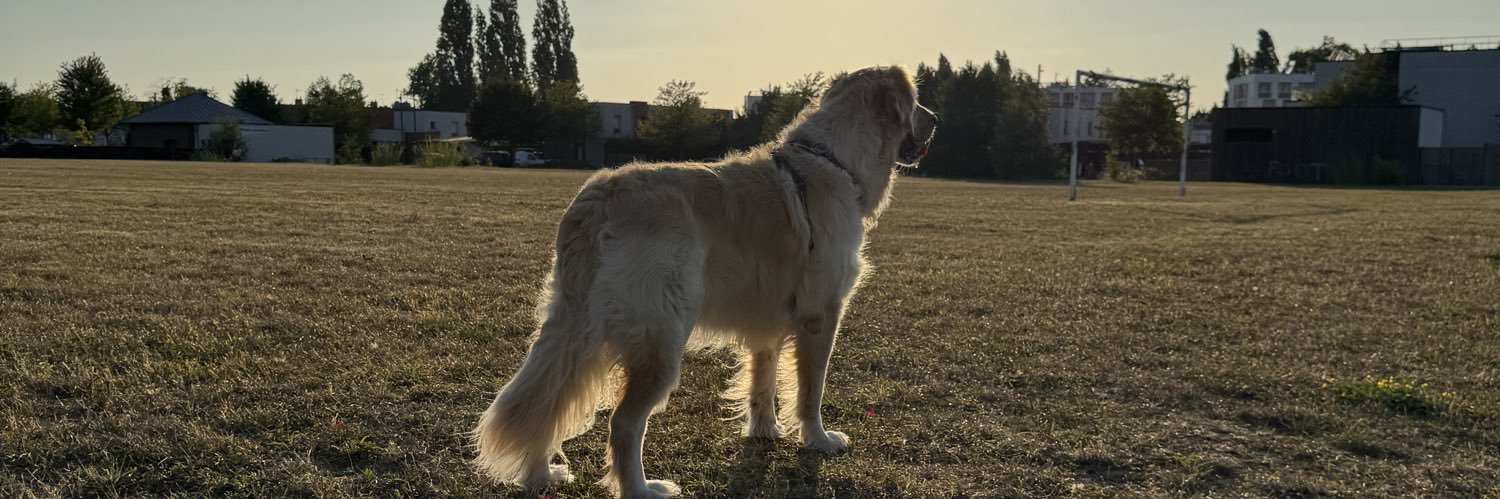 NicolasVllt_'s profile banner image