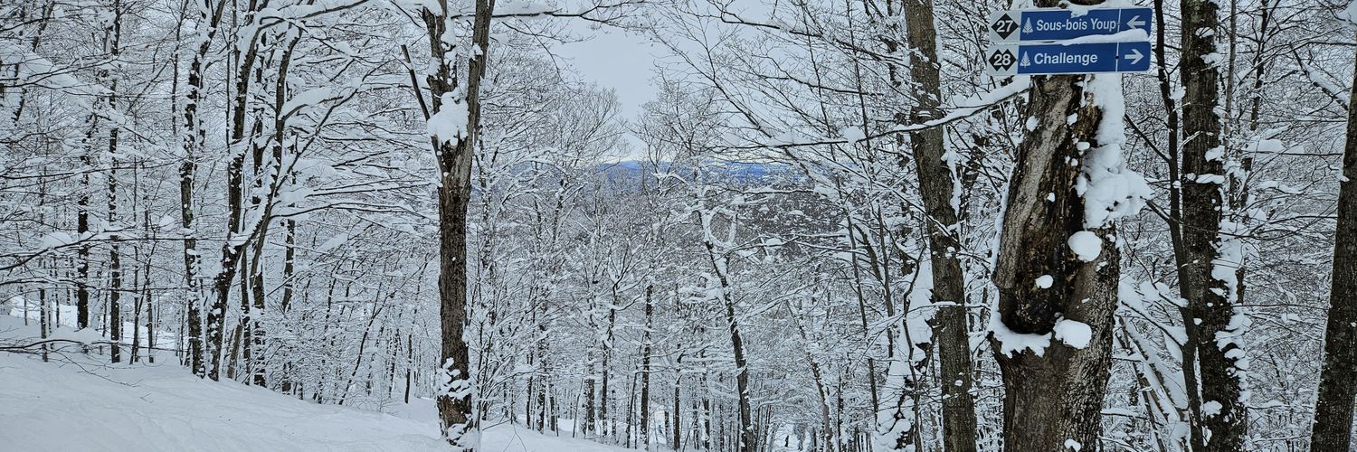 Keith Pearson banner