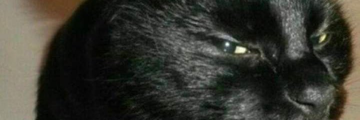 eduardarker's profile banner image