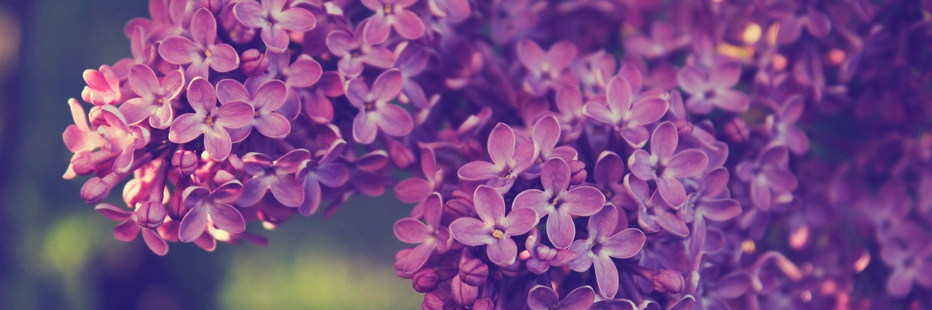 gabayepez's profile banner image