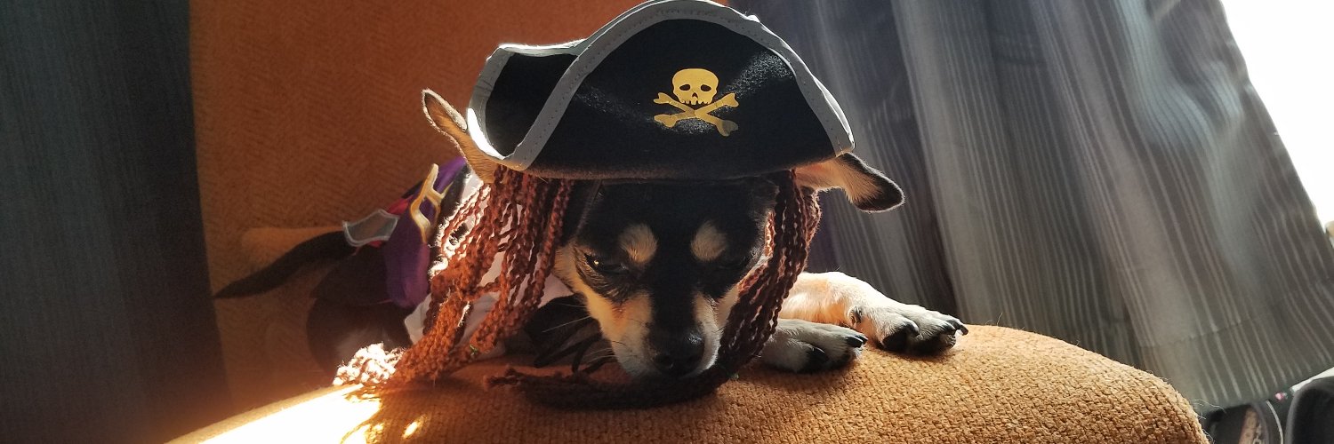 WithPirates's profile banner image