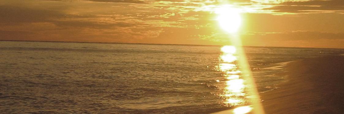 Stewart Pratt banner