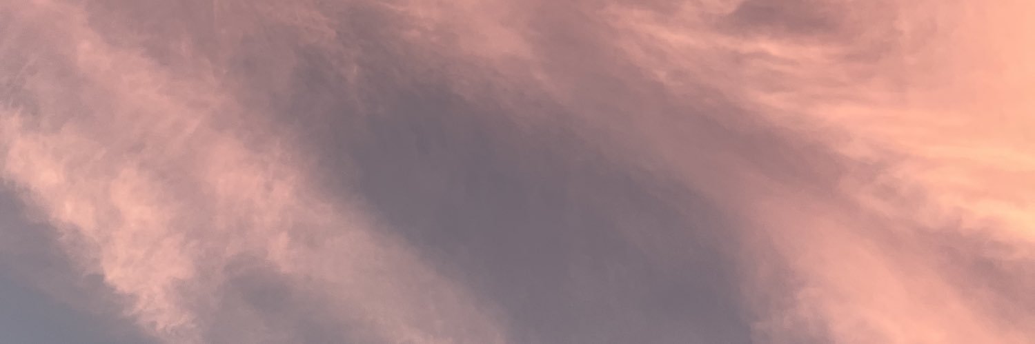lenacarballo's profile banner image