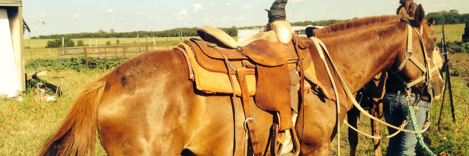 chubbs_12's profile banner image