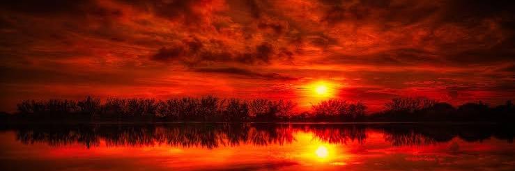 LA BOA banner