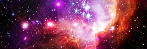 Tipiaparepe's profile banner image