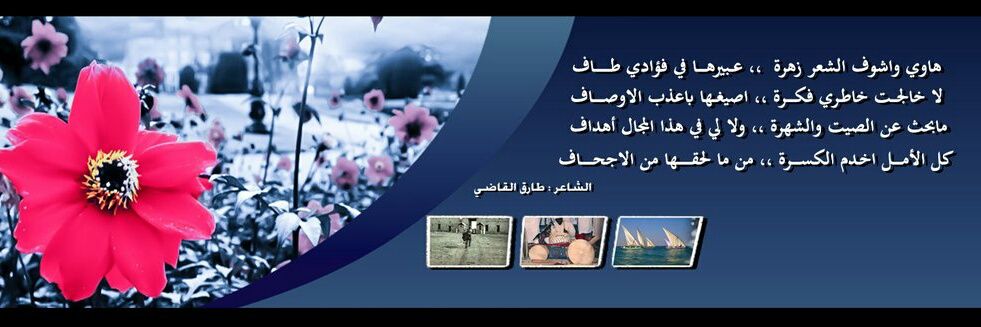 طارق القاضي banner