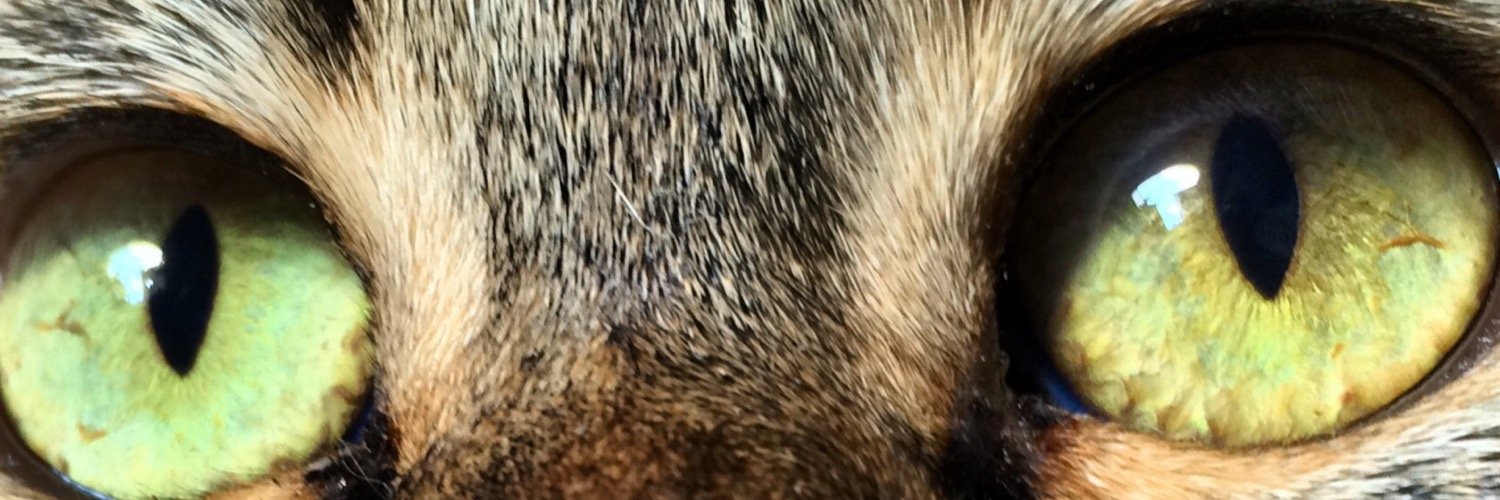 heyheyr3d's profile banner image