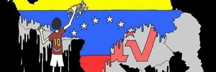 carolina flores banner