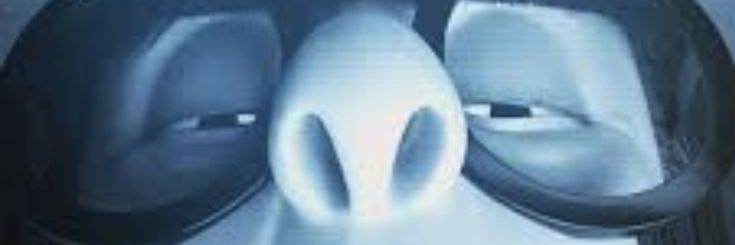 Cherryable's profile banner image