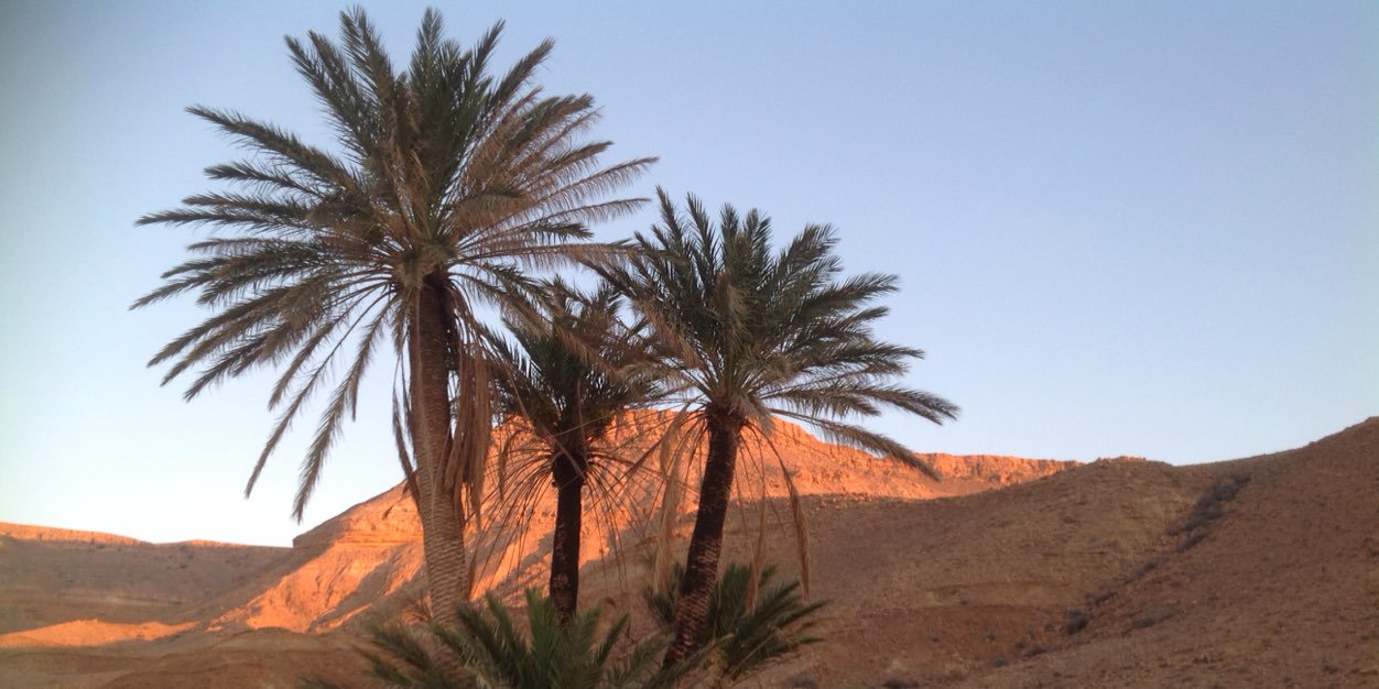 trkish12's profile banner image