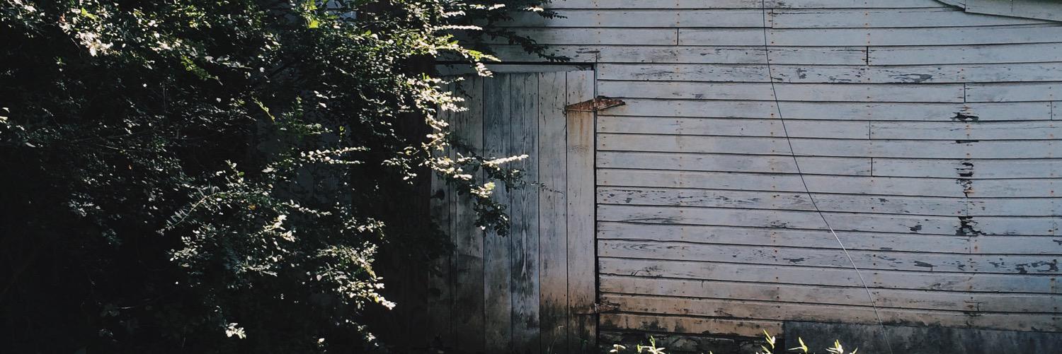 bridgetmwalton's profile banner image