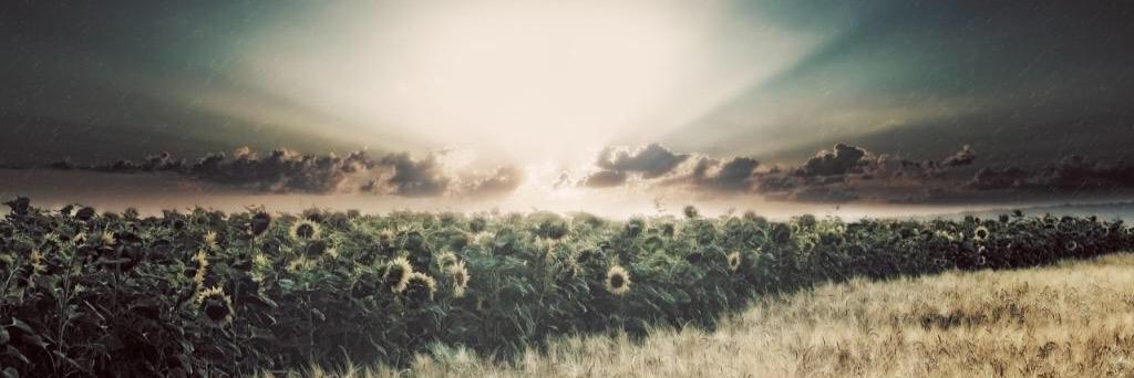 BrittKnee91's profile banner image