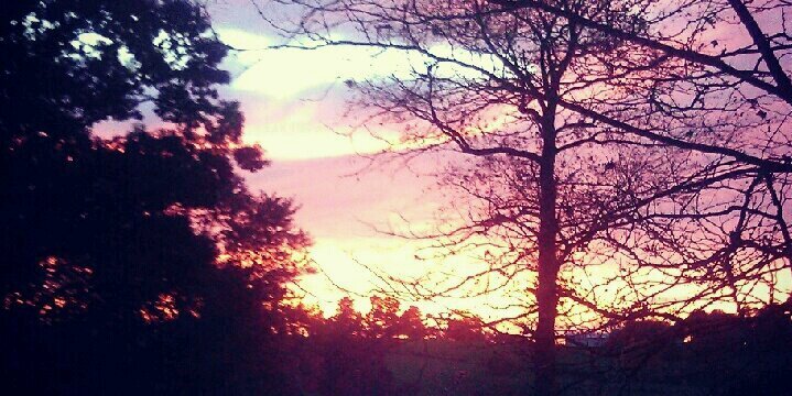 meghan simons banner