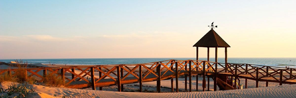 Luis_drd92's profile banner image