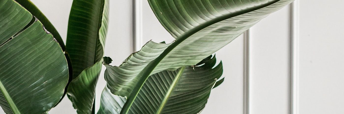 SamBoWBU's profile banner image