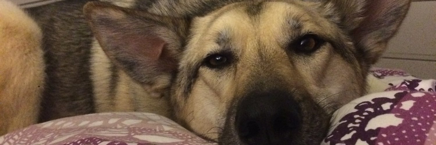 zoe_capaldi's profile banner image