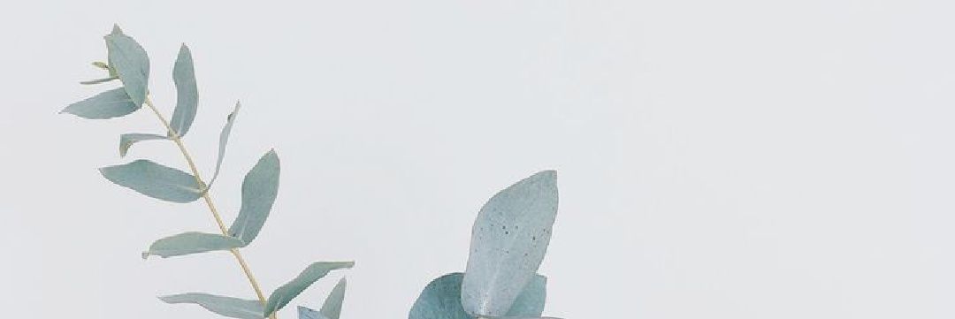 maha_tk's profile banner image