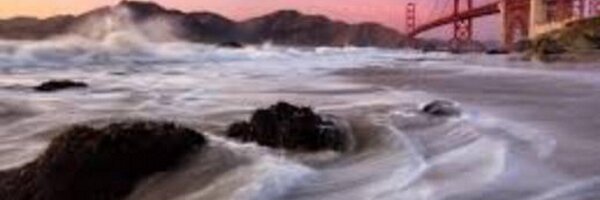 lcsillik Profile Banner