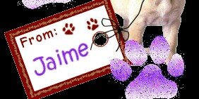 LidiaPinxa's profile banner image