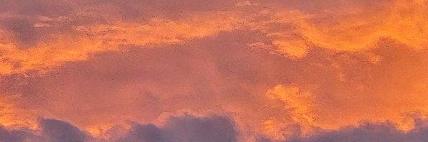 dillybirdy Profile Banner