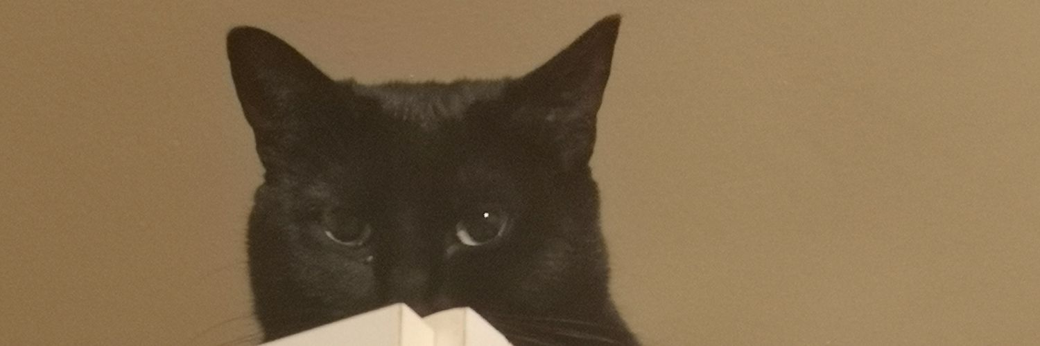 Pookets_47's profile banner image
