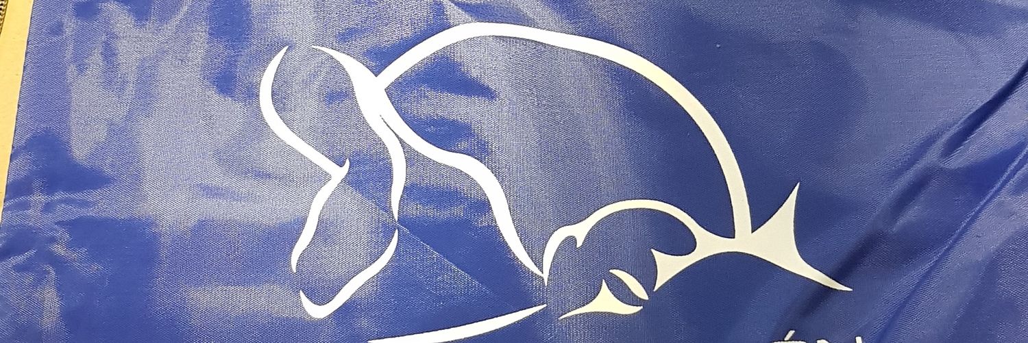 CNOvimaster's profile banner image