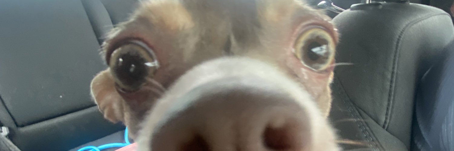 sheskaybee's profile banner image