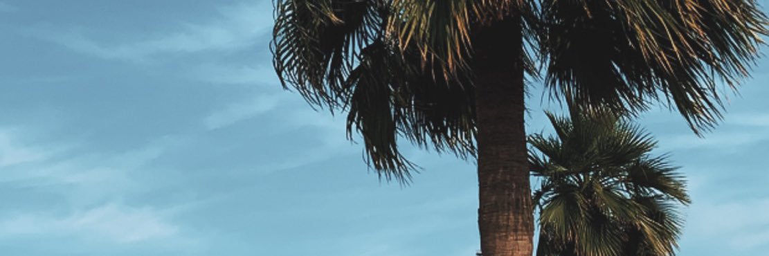 12NOUF1's profile banner image