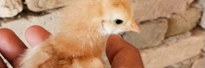 zxcgftyjh's profile banner image