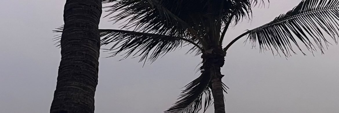 datsweird's profile banner image