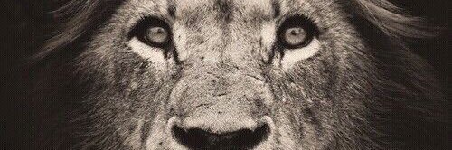 FranCruzB's profile banner image