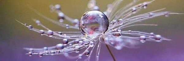 eva_mar2011 Profile Banner