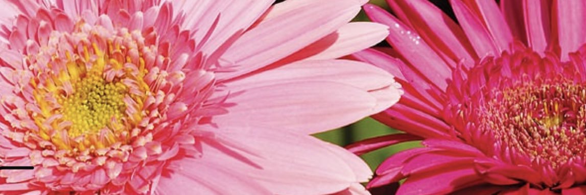 ambimrn's profile banner image